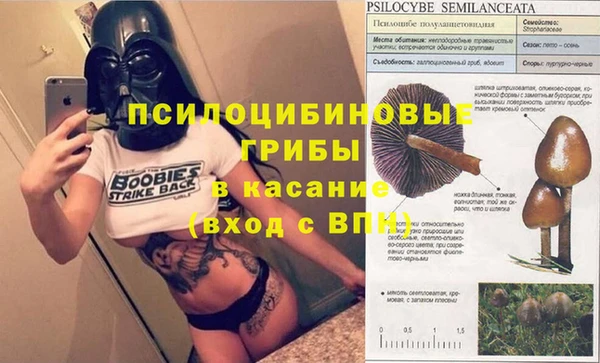 прущие крисы Сатка