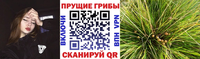 Галлюциногенные грибы мицелий  Монино 
